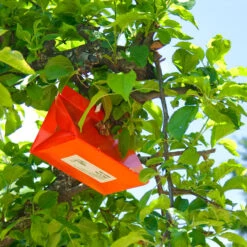 Pest Wizard Paper Delta Trap 3-Pack 9 Pest Wizard Paper Delta Trap 3-Pack -plant seeds Sales Store Paper Delta Trap 3 Pack 4