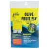 Pest Wizard Olive Fruit Fly Trap Kit -plant seeds Sales Store Pest Wizard Olive Fruit Fly Trap Kit 1