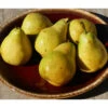 Potted Bartlett Pear Tree, European Type -plant seeds Sales Store bartlett pear potted