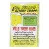 Pest Wizard Yellow Sticky Card Trap, Large 4-Pack -plant seeds Sales Store fly and bug sticky yellow trap 4 pack