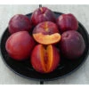 Freckle Face Nectarine Tree -plant seeds Sales Store freckle face nectarine B