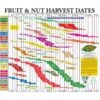 Fruit Tree Harvest Chart -plant seeds Sales Store fruit tree harvest chart