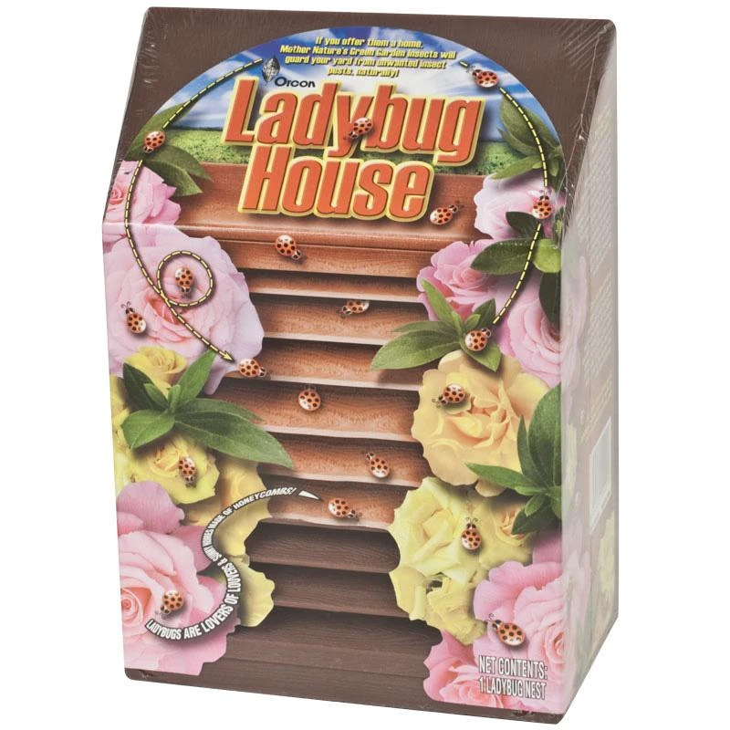 Ladybug House 3 Ladybug House