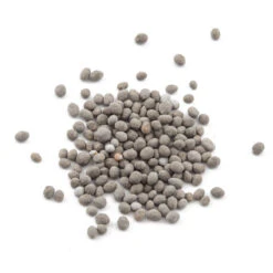 Peaceful Valley Easy Care Cover Crop Mix - Nitrocoated Seed (lb) 7 Peaceful Valley Easy Care Cover Crop Mix - Nitrocoated Seed (lb) -plant seeds Sales Store scm760 1 1