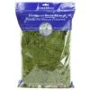 SuperMoss Preserved Sheet Moss (8 Oz) -plant seeds Sales Store supermoss preserved sheet moss 8 oz